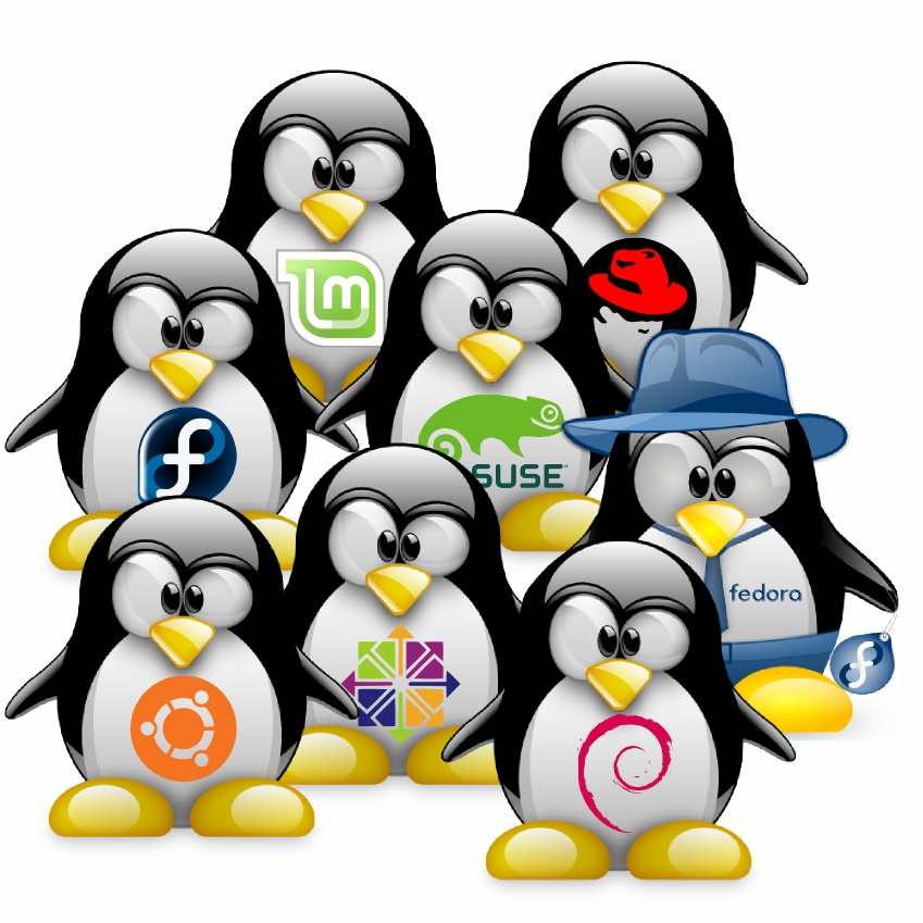 Linux distros.png