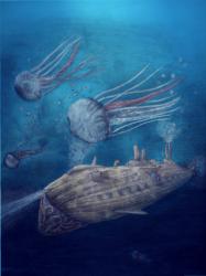 File:F16-concept-jellyfish.png