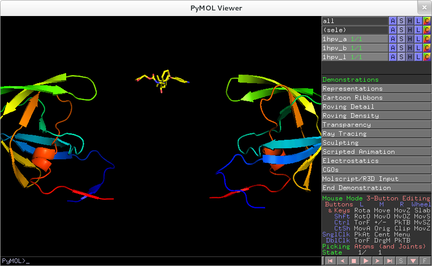 PyMOL-Scripted Animation.png