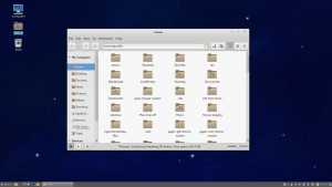 F24 Cinnamon File Manager.png