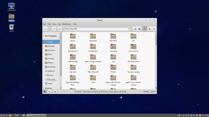 File:F24 Cinnamon File Manager.png