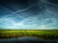 Dutch Skies by Bas Lammers (bslmmrs on Flickr) (bslmmrs@yahoo.com); CC-BY 2.0 http://creativecommons.org/licenses/by/2.0/deed.en; Vignetted sky and green grass