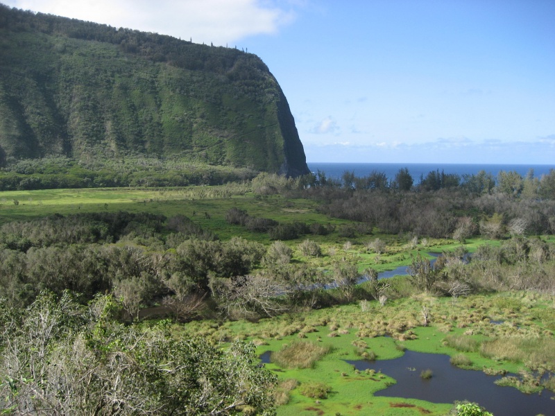 File:Waipio-valley-hawaii-2816x2112--by-scott-carpenter--cc-by-sa-30.jpg