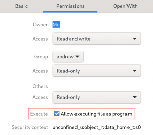 File properties with permissions tab open and execution option highlighted