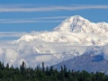 Denali from McKinley Princess Lodge by right (Nic McPhee on Flickr); Alaskan Mountain with clouds and trees; http://www.flickr.com/mail/write/?to=26406919@N00