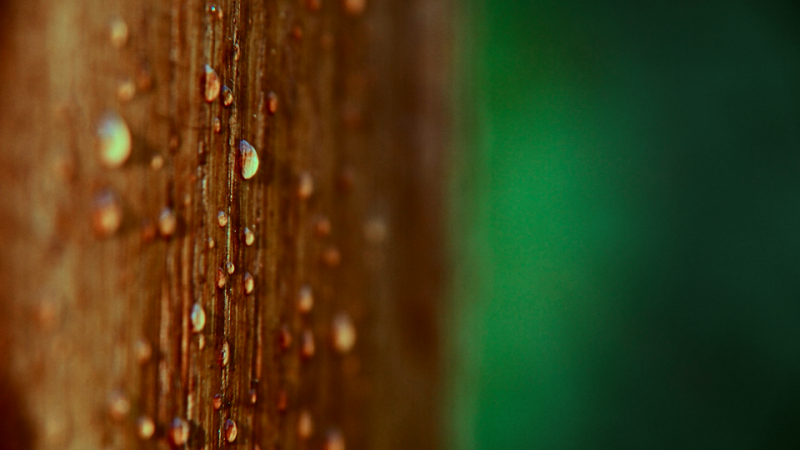 File:Raindrops-960px.png