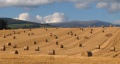 Harvest Time by Alness (Ross-Shire) (John Haslam (foxypar4 on Flickr)); Straw bales sitting in a field between Evanton and Alness; http://www.flickr.com/mail/write/?to=43145783@N00